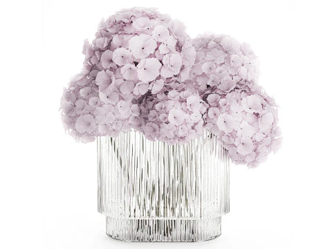 Set bouquets hydrangea poppy hydrangea chamomile glass vase 3D Model