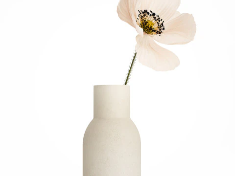 Set bouquets hydrangea poppy hydrangea chamomile glass vase 3D Model