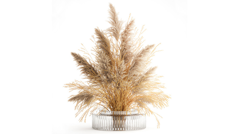 Dried flower bouquet cortaderia pampas reed vase 652 3D Модель .c4d .max .obj .3ds .fbx .stl .blend