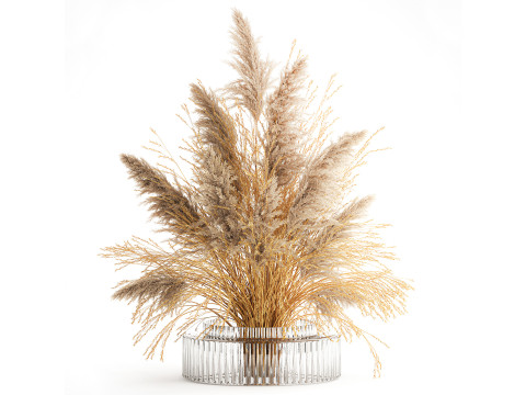 Dried flower bouquet cortaderia pampas reed vase 652 Model 3D
