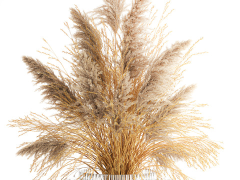 Dried flower bouquet cortaderia pampas reed vase 652 3D Модель