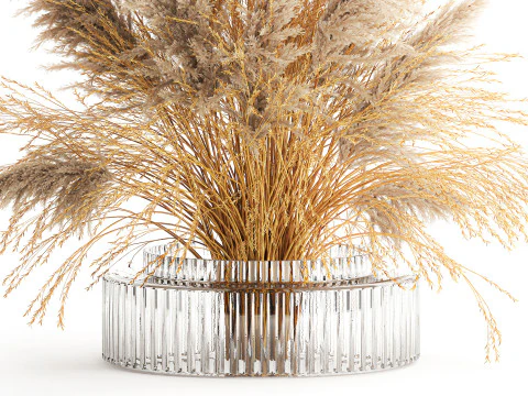 Dried flower bouquet cortaderia pampas reed vase 652 3D Model