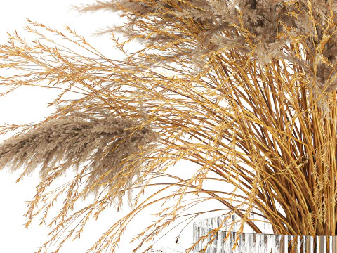 Dried flower bouquet cortaderia pampas reed vase 652 3D Model