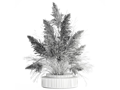 Dried flower bouquet cortaderia pampas reed vase 652 3D Модель