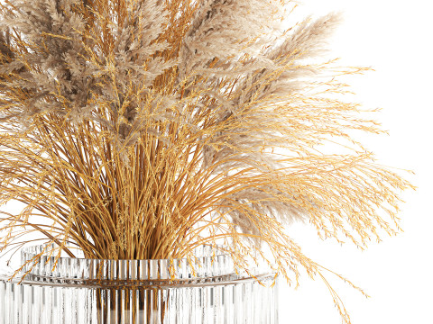 Dried flower bouquet cortaderia pampas reed vase 652 3D Модель
