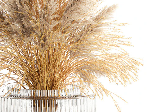 Dried flower bouquet cortaderia pampas reed vase 652 3D Model