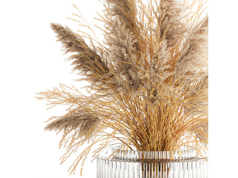 Dried flower bouquet cortaderia pampas reed vase 652 3D Модель