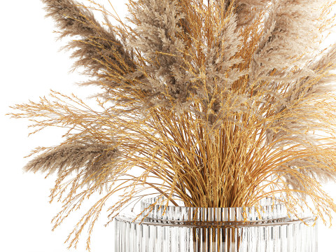 Dried flower bouquet cortaderia pampas reed vase 652 3D Модель