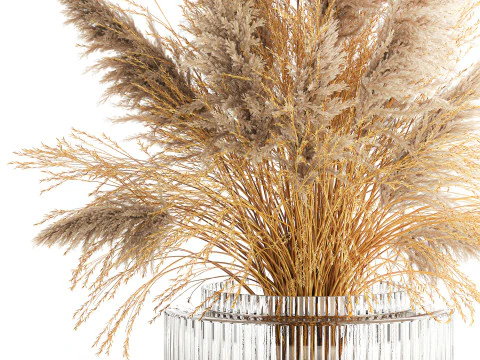 Dried flower bouquet cortaderia pampas reed vase 652 3D Model
