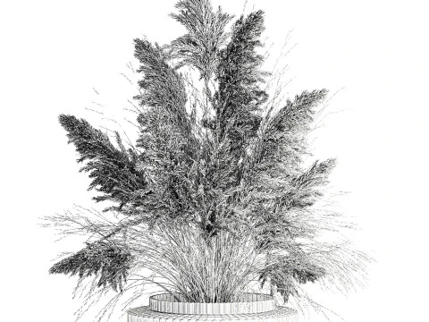 Dried flower bouquet cortaderia pampas reed vase 652 3D Model