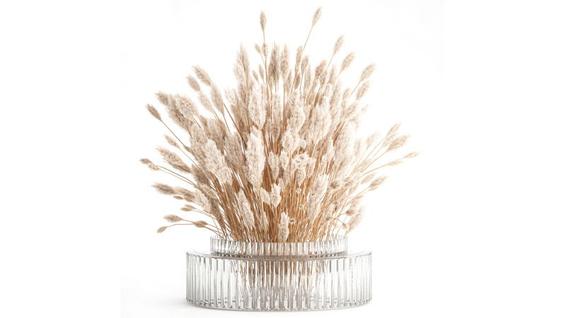 Dried flower bouquet branches cortaderia pampas glass vase 653 Model 3D .c4d .max .obj .3ds .fbx .stl .blend