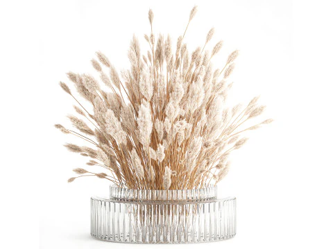 드라이플라워 꽃다발 가지 코르타데리아 팜파스 유리화병 653 3D 모델