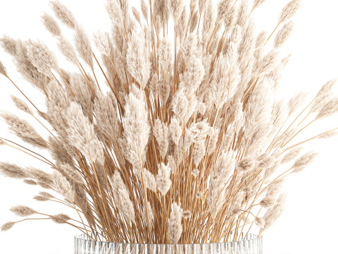 Dried flower bouquet branches cortaderia pampas glass vase 653 Model 3D