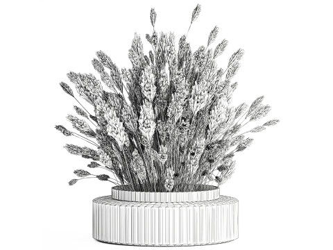 Dried flower bouquet branches cortaderia pampas glass vase 653 Model 3D