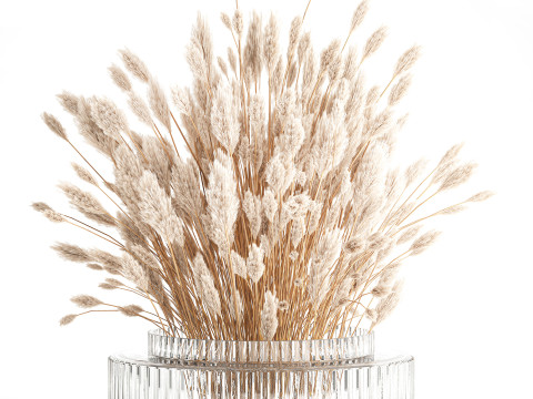 Dried flower bouquet branches cortaderia pampas glass vase 653 Model 3D
