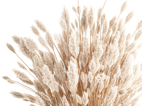 Dried flower bouquet branches cortaderia pampas glass vase 653 Model 3D