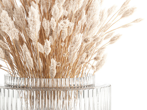 Dried flower bouquet branches cortaderia pampas glass vase 653 Model 3D