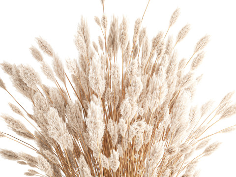 Dried flower bouquet branches cortaderia pampas glass vase 653 Model 3D