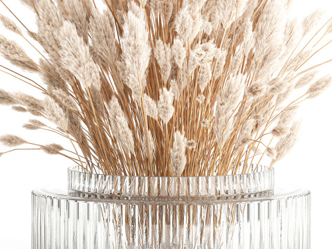 Dried flower bouquet branches cortaderia pampas glass vase 653 Model 3D