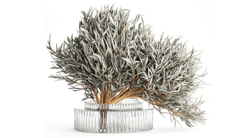 Realistic Flower Bouquet Decorated Olive Branches glass vase Model 3D .c4d .max .obj .3ds .fbx .stl .blend