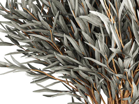 Realistisch bloemboeket versierde glazen vaas met olijftakken 3D Model