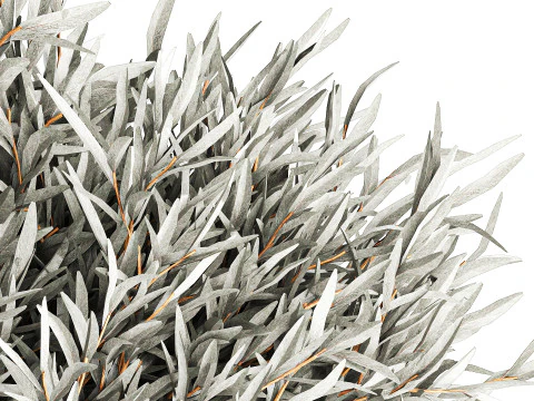 Realistisch bloemboeket versierde glazen vaas met olijftakken 3D Model