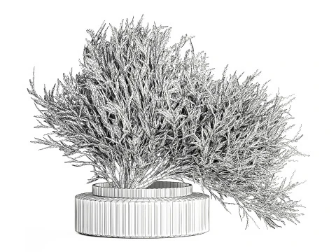 Realistisch bloemboeket versierde glazen vaas met olijftakken 3D Model