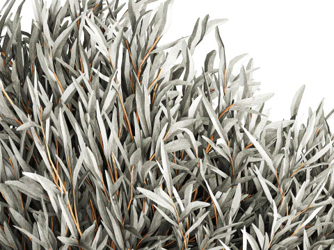 Realistisch bloemboeket versierde glazen vaas met olijftakken 3D Model