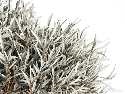 Realistisch bloemboeket versierde glazen vaas met olijftakken 3D Model