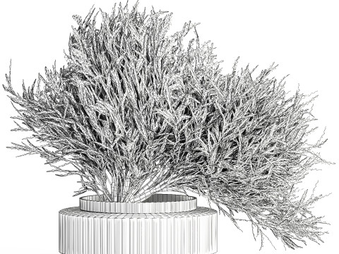 Realistic Flower Bouquet Decorated Olive Branches glass vase Model 3D