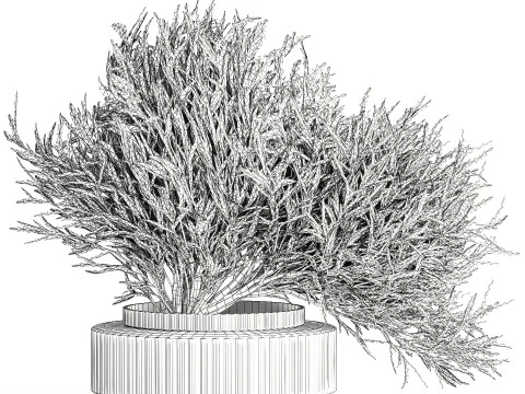 Realistisch bloemboeket versierde glazen vaas met olijftakken 3D Model