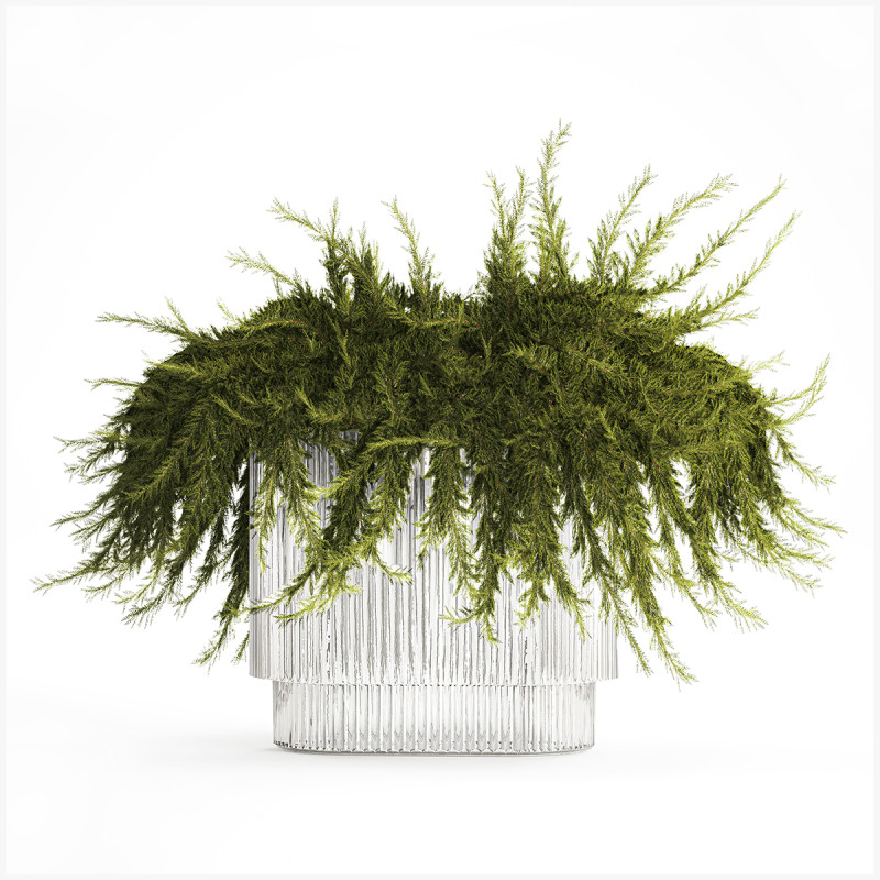 Realistic flower bouquet green juniper branches glass vase 655 3D 模型 .c4d .max .obj .3ds .fbx .stl .blend