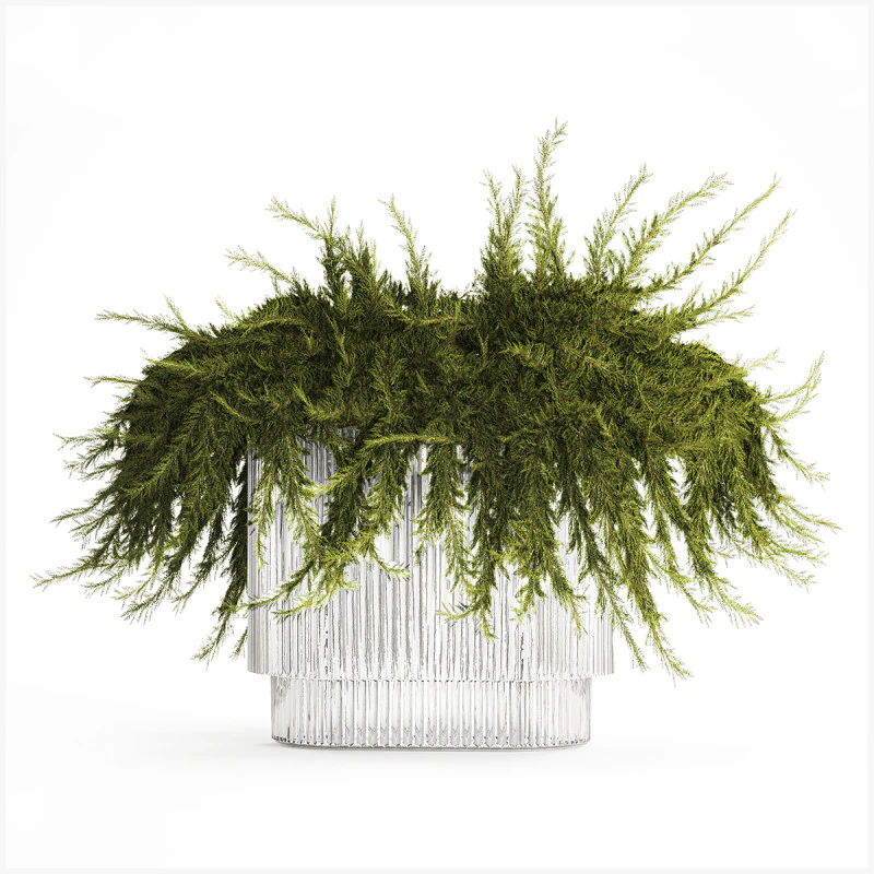 Realistic flower bouquet green juniper branches glass vase 655 3D Model .c4d .max .obj .3ds .fbx .stl .blend 