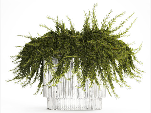 Realistic flower bouquet green juniper branches glass vase 655 Modelo 3D