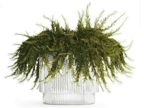 Realistic flower bouquet green juniper branches glass vase 655 3D Model