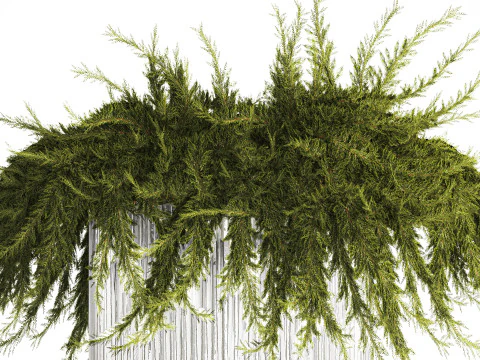 Realistic flower bouquet green juniper branches glass vase 655 3D Model