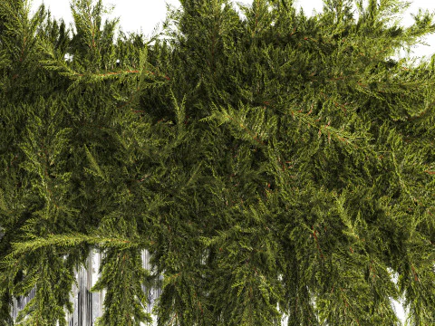 Realistic flower bouquet green juniper branches glass vase 655 3D Model