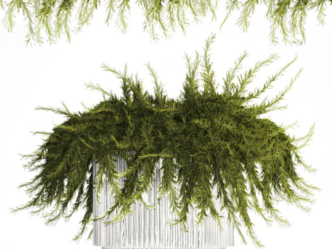 Realistic flower bouquet green juniper branches glass vase 655 3D Model