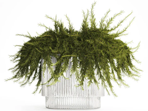 Realistic flower bouquet green juniper branches glass vase 655 3D Model