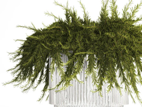 Realistic flower bouquet green juniper branches glass vase 655 3D Model