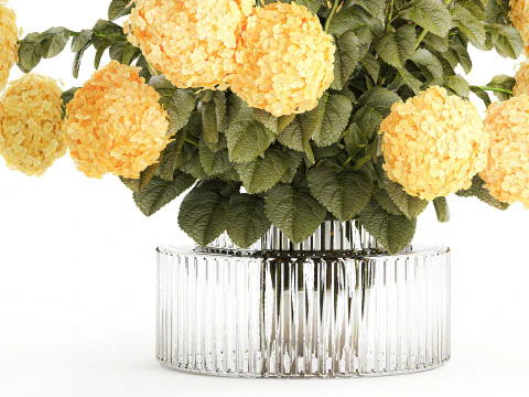 Realistic bouquet modern glass vase yellow hydrangea 656 3D Model