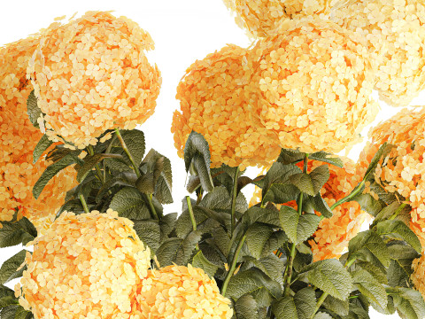 Realistischer Blumenstrauß moderne Glasvase gelbe Hortensie 656 3D Modell