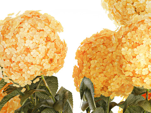 Realistischer Blumenstrauß moderne Glasvase gelbe Hortensie 656 3D Modell