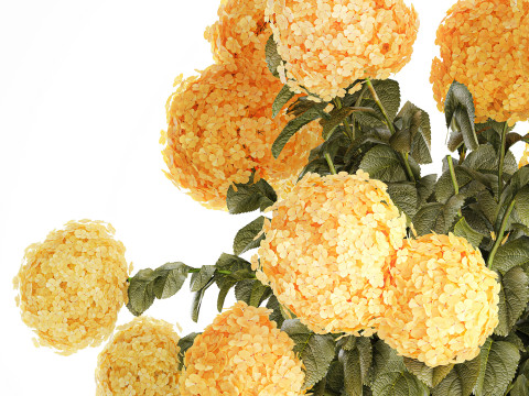 Realistischer Blumenstrauß moderne Glasvase gelbe Hortensie 656 3D Modell