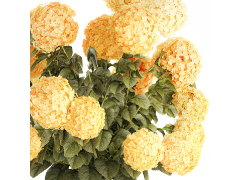 Realistischer Blumenstrauß moderne Glasvase gelbe Hortensie 656 3D Modell