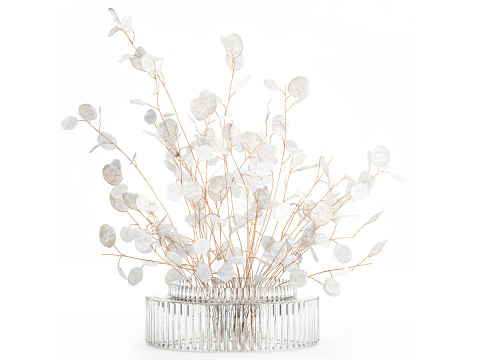 Realistic bouquet white moonflower branches glass vase decor Modelo 3D