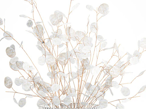 Bouquet r&eacute;aliste branches de fleur de lune blanche d&eacute;cor de vase en verre Modèle 3D