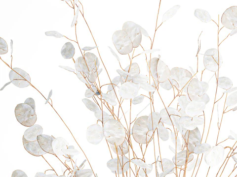 Bouquet r&eacute;aliste branches de fleur de lune blanche d&eacute;cor de vase en verre Modèle 3D