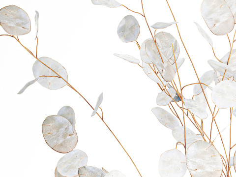 यथार्थवादी गुलदस्ता सफेद चांदनी शाखाएं ग्लास फूलदान सजावट 3D मॉडल