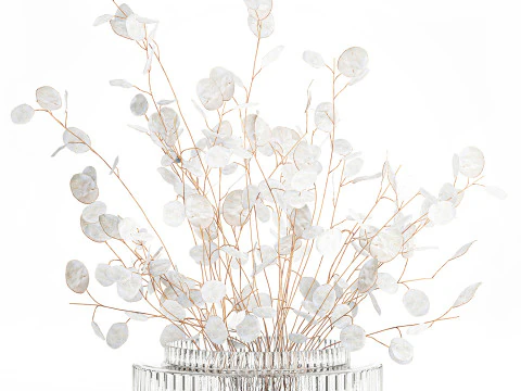 Bouquet r&eacute;aliste branches de fleur de lune blanche d&eacute;cor de vase en verre Modèle 3D